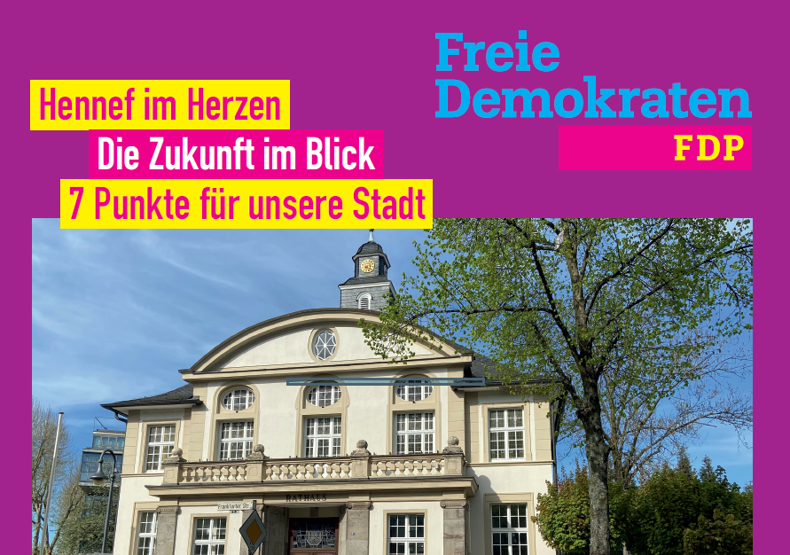 Bild Wahlflyer