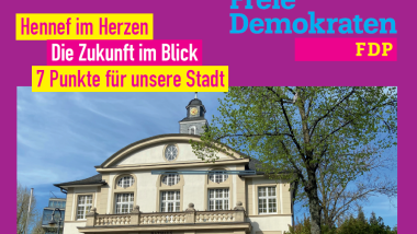 Bild Wahlflyer