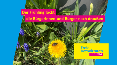 Symbolbild Frühling